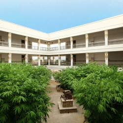 Sandip Polytechnic Nashik Academic Building photo 5